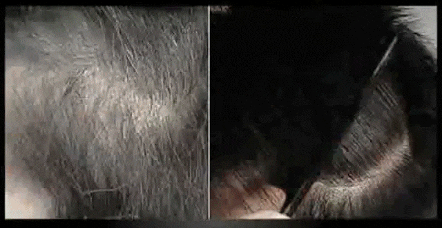 545ef213-cfb3-481f-a9d1-64be3d038e69.gif