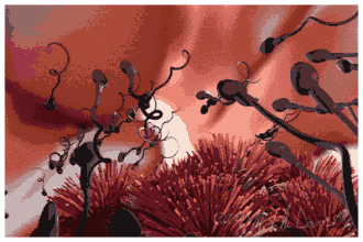680332bb-2e90-4385-a327-0104bfcb589d.gif