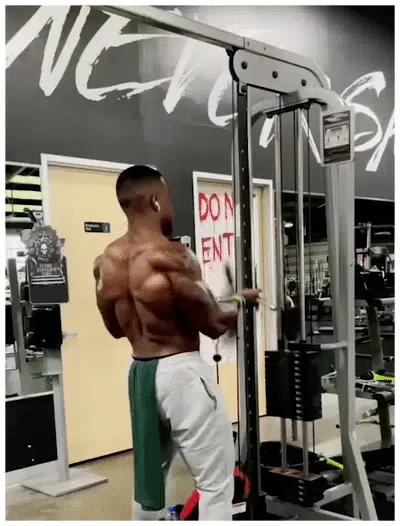 5.gif.jpg