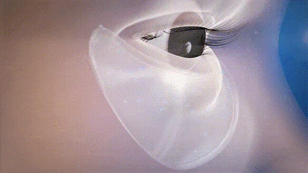 12.gif.gif
