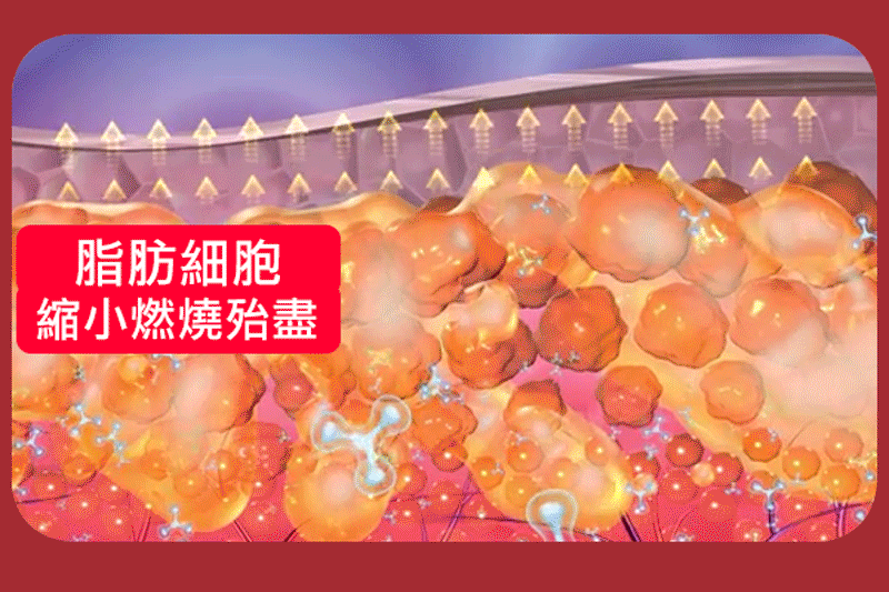 1780420442848656.gif