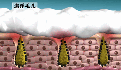 1780855081287720.gif