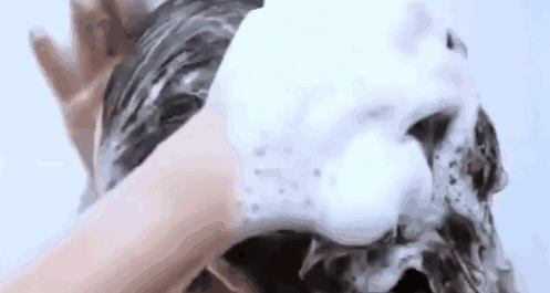 1781035247473977.gif IMG_3681.gif